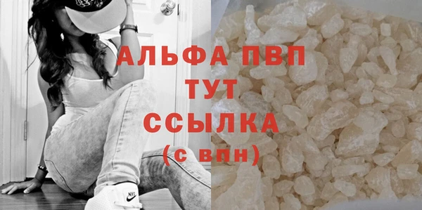 соль ск Тавда